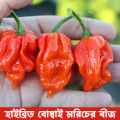 All season Bombai Moric seeds 20  pice + gift. 