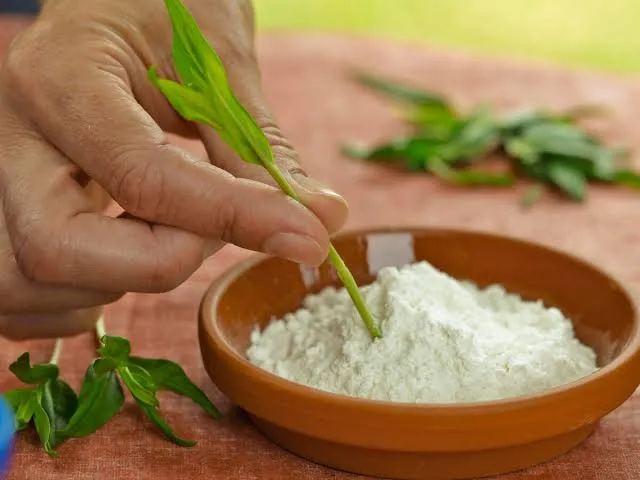 Cutting%20Aid%20Rooting%20Hormone%20Powder%2010%20Gram%20(Re-Pack%20/%20Loose%20Pack)%20-%20Foster%20Fast%20Root%20Development%20For%20Plants%20With%2010-Gram%20Cutting%20Aid%20-%20Image%202