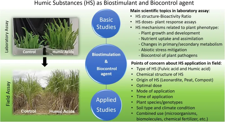 (Free%20Delivery)%20Humic%20Acid%20For%20Plant%20-%2025/50/100/200%20gm%20Pack%20-%20%20%E0%A6%B9%E0%A6%BF%E0%A6%89%E0%A6%AE%E0%A6%BF%E0%A6%95%20%E0%A6%8F%E0%A6%B8%E0%A6%BF%E0%A6%A1%20%E0%A6%97%E0%A6%BE%E0%A6%9B%E0%A7%87%20%E0%A6%AC%E0%A7%8D%E0%A6%AF%E0%A6%BE%E0%A6%AC%E0%A6%B9%E0%A6%BE%E0%A6%B0%E0%A7%87%E0%A6%B0%20%E0%A6%9C%E0%A6%A8%E0%A7%8D%E0%A6%AF%20-%20Image%206