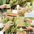 Green Tea Glutathione Fairy Scrub Soap for Face and Body, Gentle Exfoliating Texture (Thailand).
