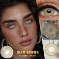 New Siam/Pola Brown Color Contact Lens With Regular Kit Box For Men And Women. 1 Pair Brown Color Contact Lens For Eye Makeup and Cosmetics. Siam Collection. #Polabrown.