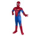 Avengers Spider Man Kinds Costumes For Your Child.