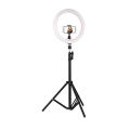 12 Inch Selfie Ring Light With Tripod Stand & Cell Phone Holder For Live Stream / Makeup - Ring Light. 