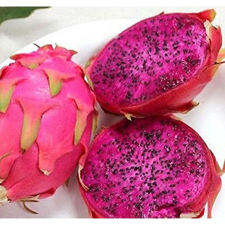 20 Pcs All Season Dragon Pitaya Fruit Seeds - 20 Pcs Seeds