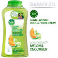 Dettol Body Wash Shower Gel Lasting Fresh with Refreshing Melon & Cucumber Fragrance, 12 Hours Odour Protection 250ml Shower Gel. 
