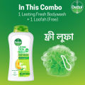 Dettol Body Wash Loofah Free Shower Gel Lasting Fresh with Refreshing Melon & Cucumber Fragrance, 12 Hours Odour Protection 250ml Shower Gel. 