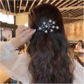 Women hair clip ladies hair clip.
