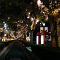 Solar Powered Lights 200 LED String Fairy Lights for Outdoor Christmas Lighting Courtyard Decor 20m.