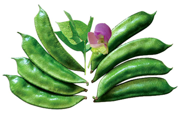 BARI-1%20Shim%20Seeds%200.1gm%20-%20Image%202