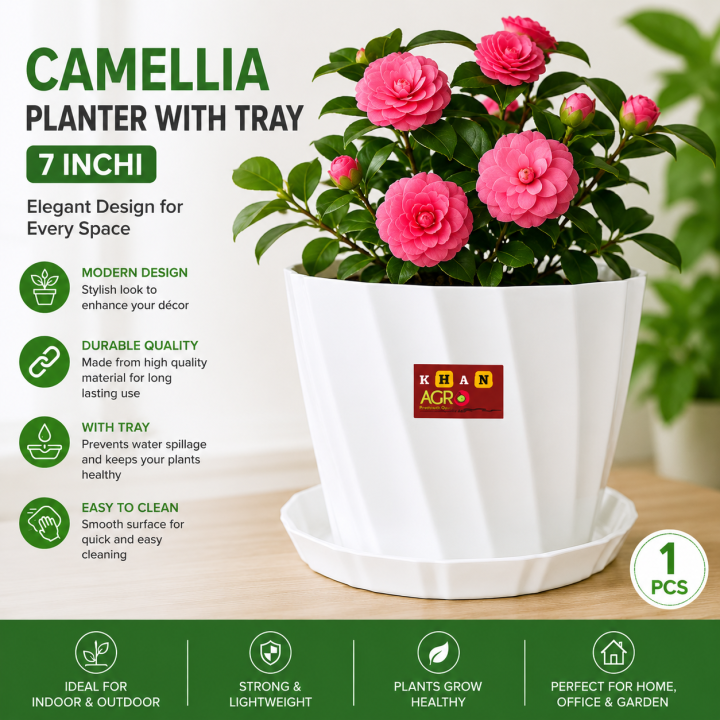 Camellia 7 Inchi planter white with tray 1 pcs