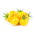 Hybrid Yellow cherry tomatto seed 30 pice + gift. 
