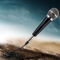 MIC Handheld Dynamic Wired Dynamic Clear Voice. 