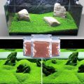 300+ Leoie Aquarium Plant Seeds Aquatic Water Grass for Fish Tank Foreground Plant Decor. 