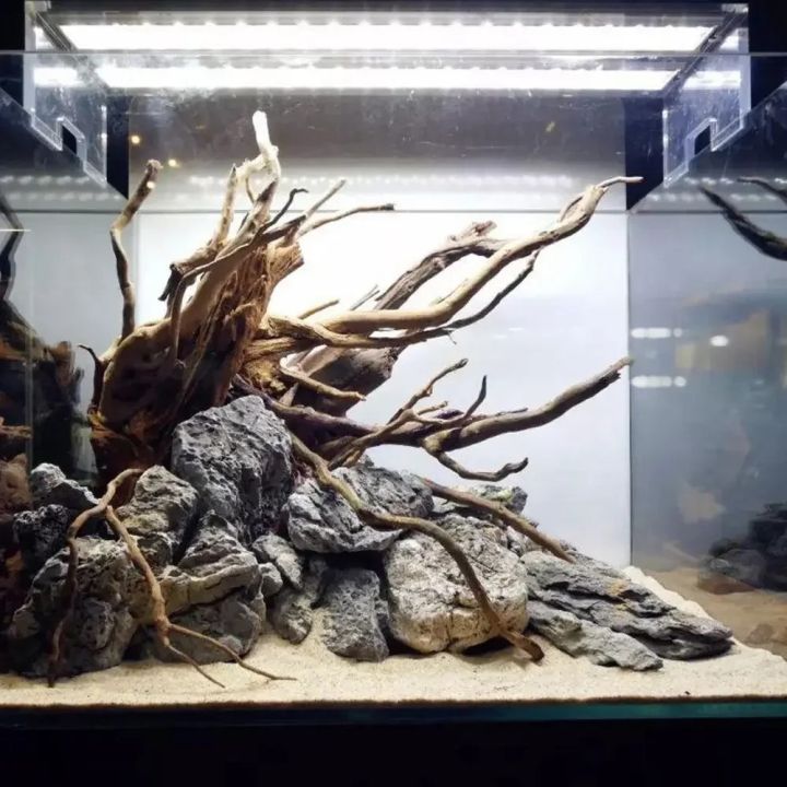 Natural Tree Trunk Driftwood Aquarium Fish Tank Reptile Roots Plant Wood Decoration Ornament Accessory Aquarium Plants