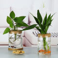 Transparent Hydroponic Flower Pot Imitation Glass Soilless Flower Pot Home Vase Fullhouse. 