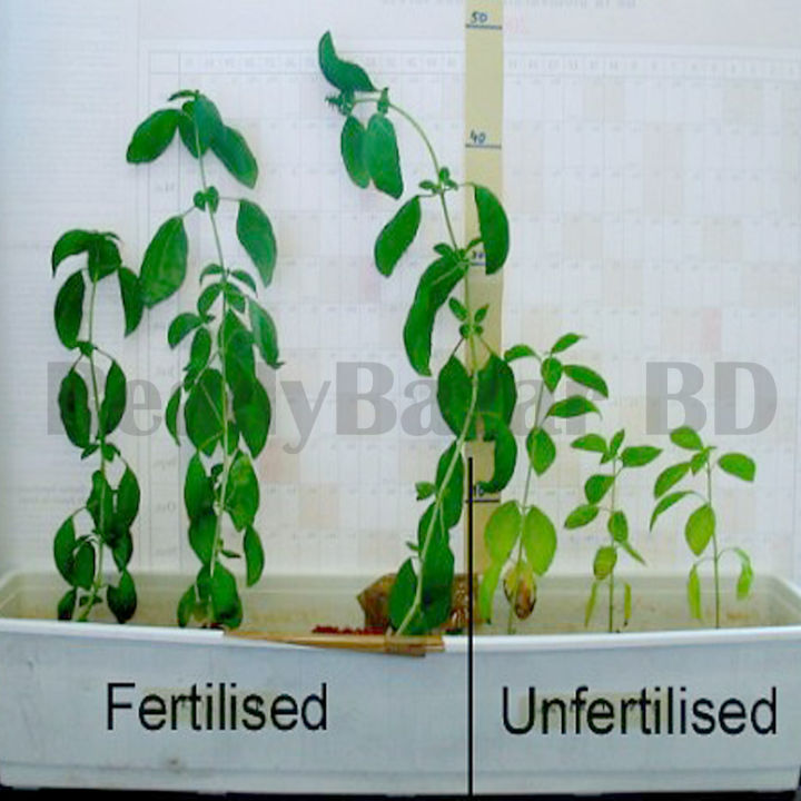 Unique%20Make%20-%20Npk%20fertilizer%2019-19-19%20fertilizer%20100%20g%20plants%20restore%20water%20soluble%20fertilizer%20for%20Indian%20-%20Sustainable%20Option%20-%20Image%205