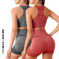 Yoga Set Gym Shorts Women Sport Bras Brassiere Workout Tops for Women Yoga Clothes Fitness Leggings Gym Set Seamless Yoga Sets. 