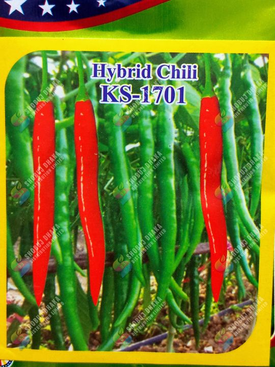 Intact Pack 1gm Hybrid Chili Seeds KS 1701 Intact Pack | Daraz.com.bd