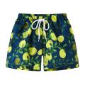 2-8 Years Beach Shorts Cartoon 2022 Boys Swimsuit Trunks Style Boys Bathing Suit Swimwear Summer Swimming Trunks Swimsuits. 