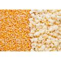 Pop corn seeds (premium quality) 1kg. 