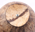 Eco Friendly Handmade Coconut Shell Made Coin Bank Money Saving Bank Coconut She'll Bank. 
