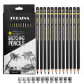 Professional Drawing Sketching Pencil Set, 12 Pieces Art Pencils Graphite Shading Pencils for Beginners Pro Artists. 