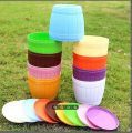 Colorful Flower Pots 3 Inchi(7.5cm) 5 pcs with nice tray. 