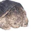 Little Snapping Turtle Statue Collectable for Bookshelf Tea House Cabinet. 