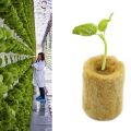 100Pcs Soilles Planting Sponge Grow Garden Cubes Rock Wool Plug Soilless Culture Substrate.