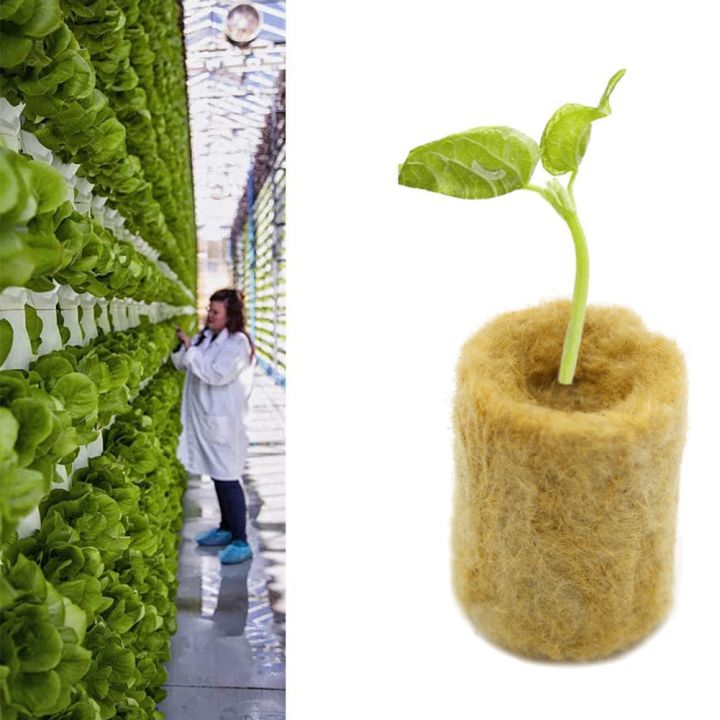 100Pcs%20Soilles%20Planting%20Sponge%20Grow%20Garden%20Cubes%20Rock%20Wool%20Plug%20Soilless%20Culture%20Substrate%20-%20Image%207