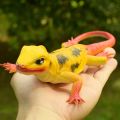 Soft Rubber Reptile Model Toys, Simulation Lizards, Squeaking and Vocal Lizards, Animal Tricky Vent Toys Squishy. 