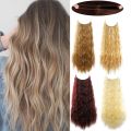 No Clips Hair Natural Wavy Curly False Hair Piece Woman Synthetic Hair Extensions Artificial Long Wig Fish Line.