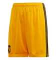 Football Club Sports half pant for Men - Jersey.