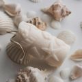 Ocean Theme Decorative Scented Candles – Starfish & Seashell Design | Home & Gift Set.