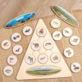 Life Cycle Puzzle , Cycle Tray, Cartoons Puzzles Jigsaw for Preschool Infant As Science Toys, Early Educational Toy.