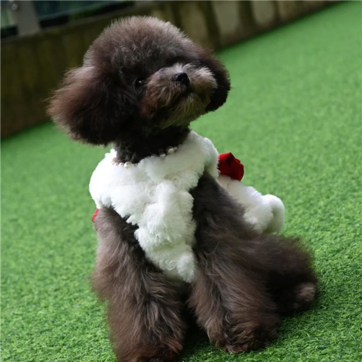Halloween Pet Rabbit Fur Dress Clothes Cute Bow Dog Clothing Autumn Winter Rabbit Fur Material Teddy Bear Warm Coat Dog Dresses ClothesDolls Accessories