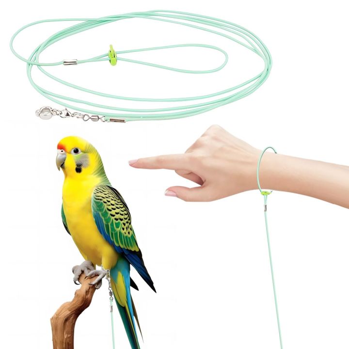 Birds%20leg%20chain%20harness%20cocatail,conure,ringneck%20tiya,love%20bird%20etc%20-%20Image%208