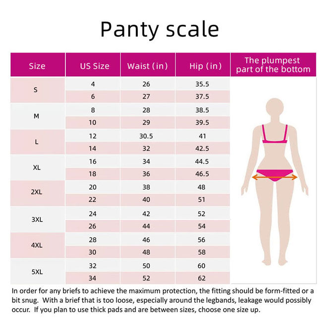 2%20PIECES%20LEEWEAR%20PERIOD%20PANTIES%2003_05_00-PA21104-QTY02%20-%20Image%208