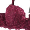 Sexy Bra Foam & Net Bra Pushup Bra - Bra. 