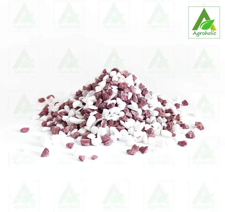 Red%20and%20White%20Mix%20Stone%20For%20Gardening,%20Aquarium%20and%20Others%20-%201%20kg%20-%20Image%202