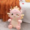 Dragon Plush Toy Cartoon Cute Birthday Gift Chinese New Year Doll Decoration.