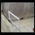 Qiunery Pigeon Entrance Door, Pigeon Trap Door, Stainless Steel Bird Cage Entrance House Door, Pet Racing Supplies, Pigeon Racing Supply Product For Competitions.