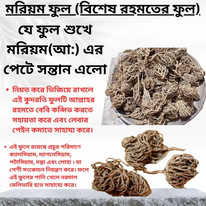 Moriom%20Ful%20-%20Moriom%20Flower%20-%20Moriom%20Full%20-%20Maryam%20Ful%20-%201ps%20-%20Image%202