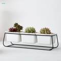 Indoor Plant Pot Creative Container for Desktop Indoor Outdoor Home Decor. 