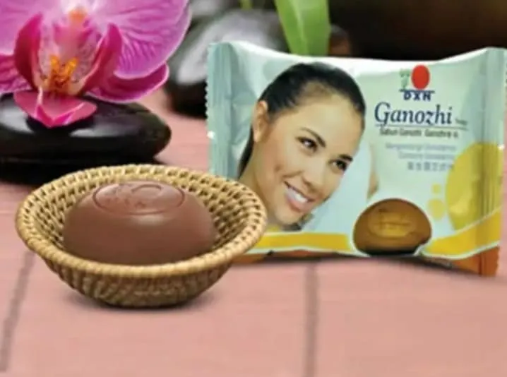 Dxn%20Ganozhi%20Face%20And%20Body%20Soap%20-%2080gm%20-%20Image%202