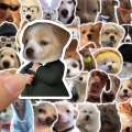 50 popular realistic funny emoji pack stickers, non repeating sand sculpture, small dog decoration stickers. 