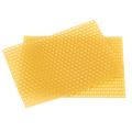 50PCS Beekeeping Hive Beekeeping Honeycomb Foundation Frame Hive Garden Hive Beekeeping Tools.
