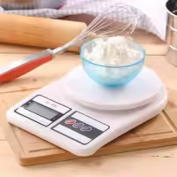 Canvas Sneakers