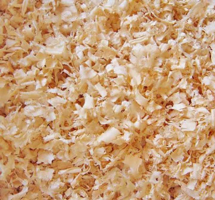 neem%20tree%20powder%20to%20feed%20in%20bird%20breeding%20box%20reduces%20the%20chances%20of%20bird%20disease%20100gram%20to%205kg%20-%20Image%202