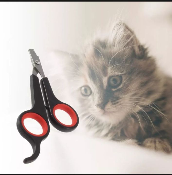 Cat/%20Dog%20Nail%20Cutter%20Stainless%20Steel%20-%20Image%204